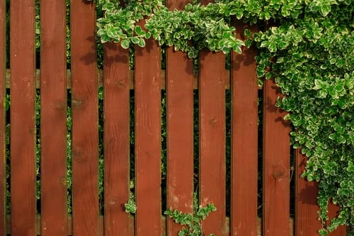Building a Wood Privacy Fence That Stays Straight